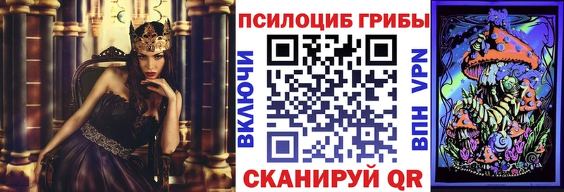 Псилоцибиновые грибы Psilocybine cubensis  Бобров 